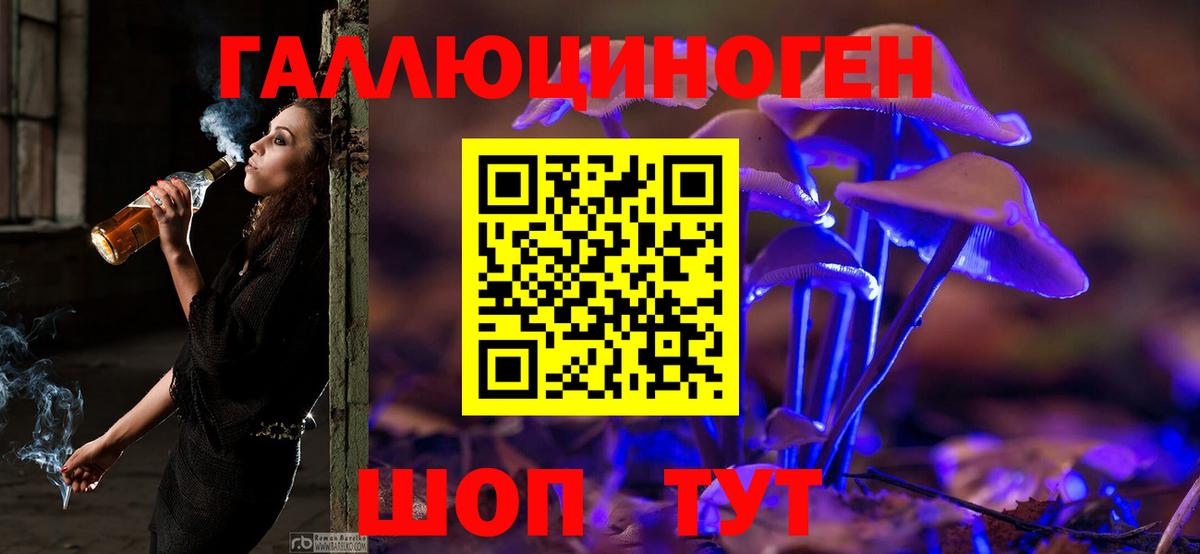 Астрахань  Псилоцибиновые грибы прущие грибы  Вход с VPN  Псилоцибиновые грибы прущие грибы 