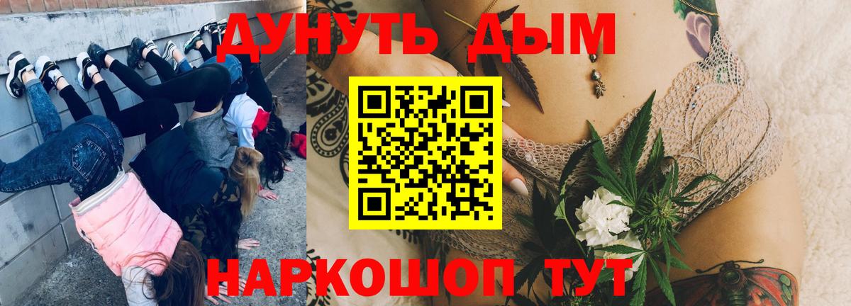 Бошки Шишки планчик Астрахань